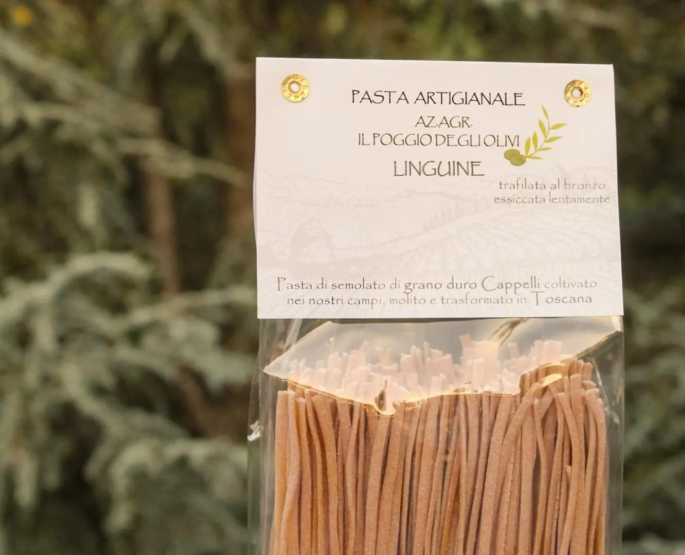 라스트라아시냐 Cascina De' Fagiolari 게스트하우스 0*,  이탈리아