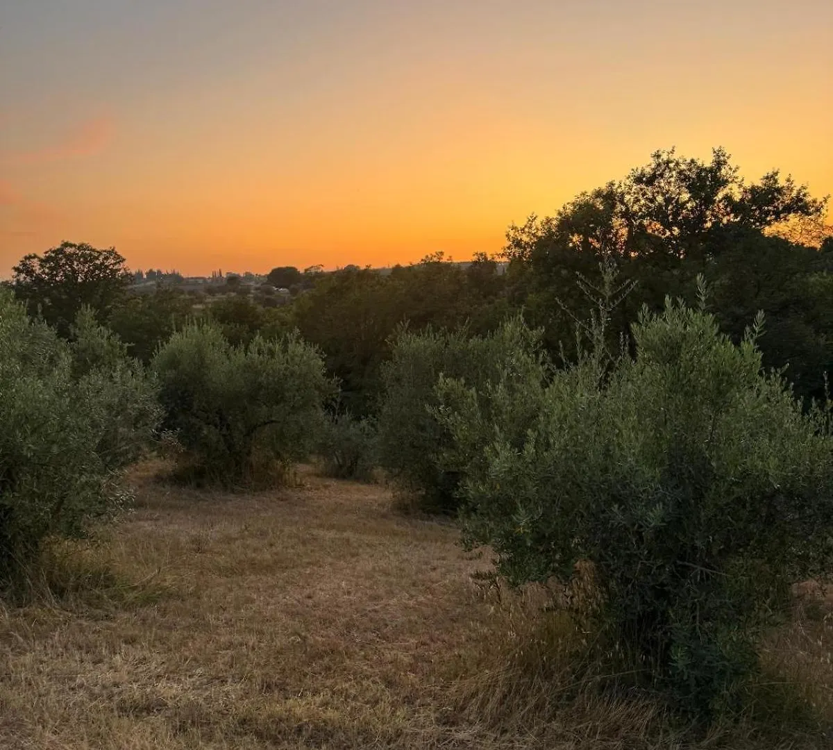 Cascina De' Fagiolari Guest House Lastra a Signa