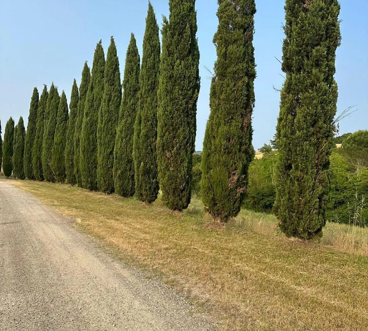 Landhaus Gasthaus Cascina De' Fagiolari Lastra a Signa